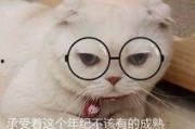 娱乐吃瓜君和刘二豆,揭秘娱乐圈背后的趣味故事