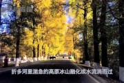 娱乐吃瓜君9,揭秘娱乐圈最新热点事件